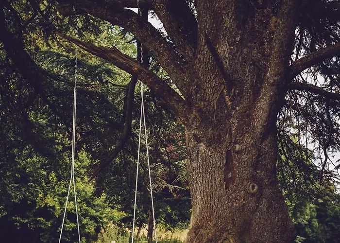 Πανσιόν Domaine De L'orangerie Du Chateau De D'hotes 3*